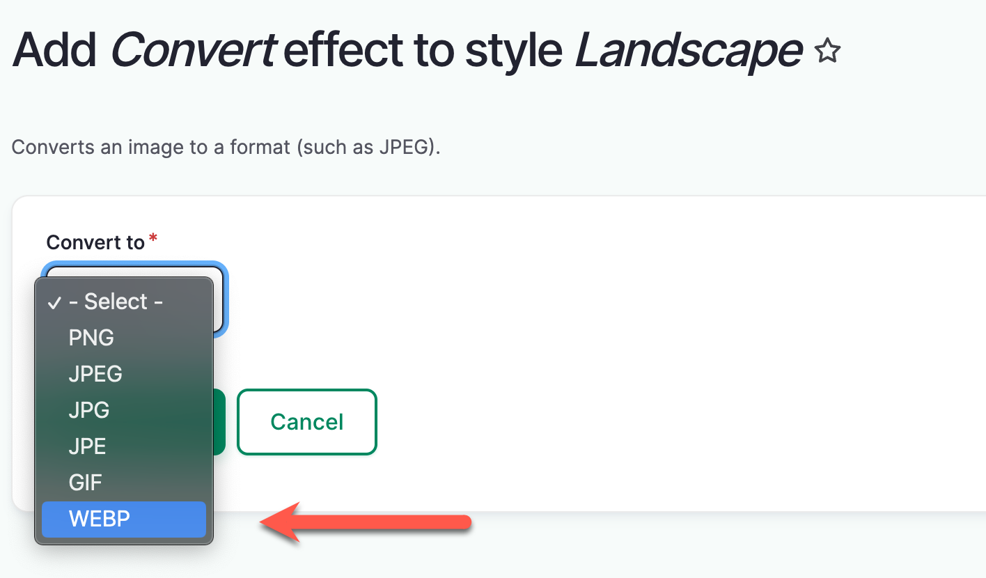 The image styles convert to webP interface